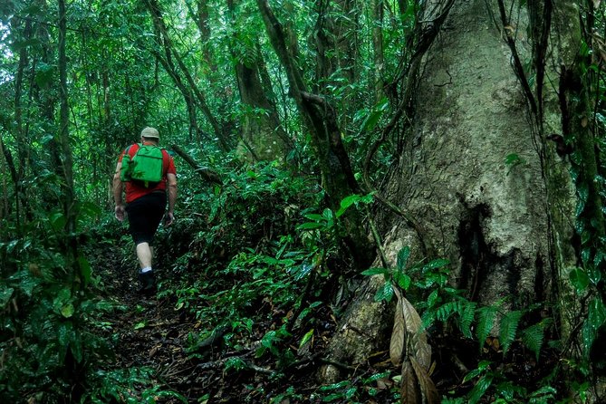 2-Day Extreme Nature Hike from La Fortuna to Monteverde - The forest cabin: a night with very few extras