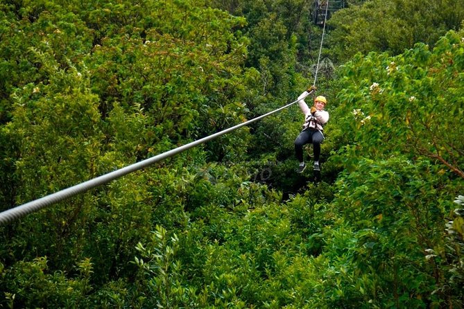 3 hours of the Longest and Highest Extreme Zip line Experience in Monteverde - The first short cables ease you into the course