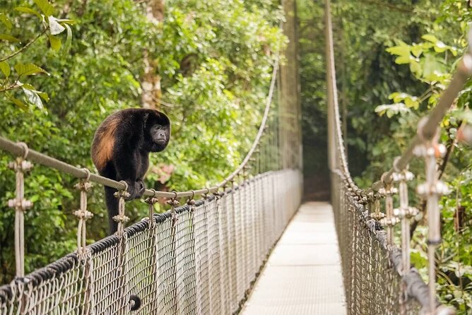 3 in 1 Combo: La Fortuna Waterfall, Hanging Bridges, Thermal Spa from San José - Los Lagos thermal pools and the best-paced finish