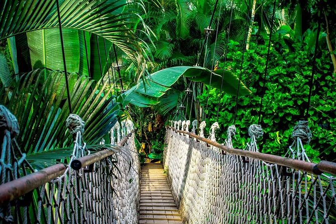 3 in 1 Combo: La Fortuna Waterfall, Hanging Bridges, Thermal Spa from San José - La Fortuna Waterfall and the stair-heavy route