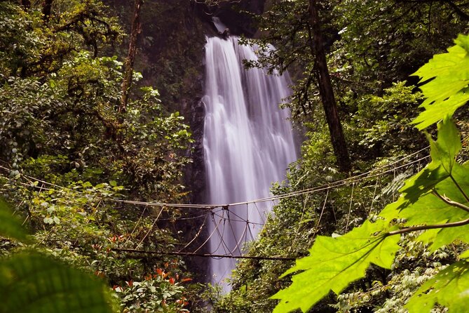 3-in-1 Monteverde Cloud Forest Waterfalls, Wild Trekking and Horseback Riding - The trail demands more than ordinary sightseeing