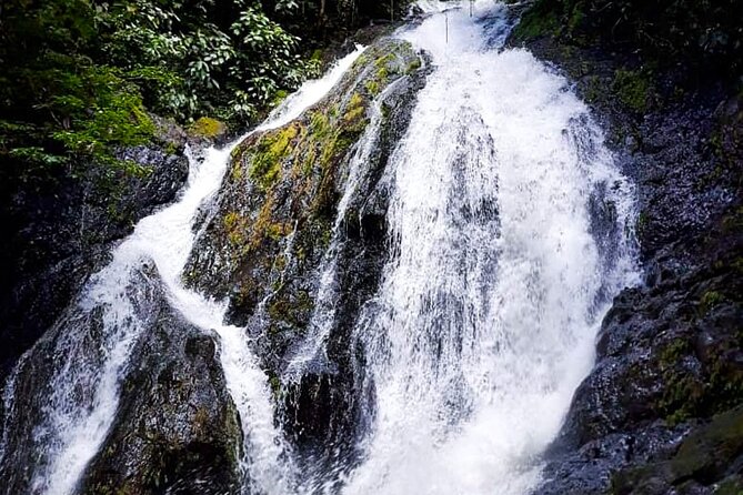 5 Hour Off-Road ATV+ Zipline+ Waterfall Rappelling+ Tractor Jungle Tour - The zipline course crosses more than 2,000 meters