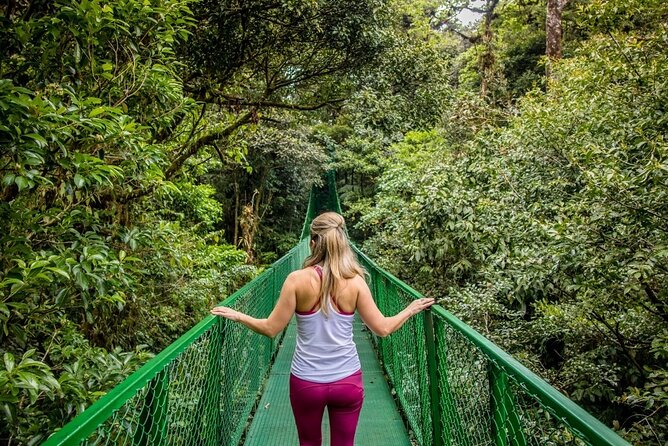 8 days and 7 nights - Costa Rica Pura Vida - Manuel Antonio: the strongest wildlife and beach finish