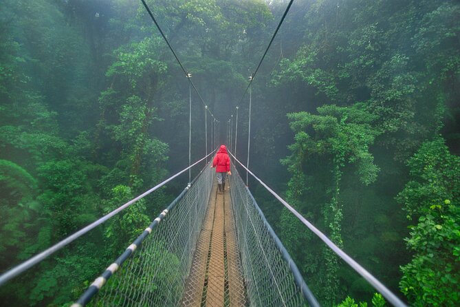 8 days and 7 nights - Costa Rica Pura Vida - Transport, timing, and the fine print that matters