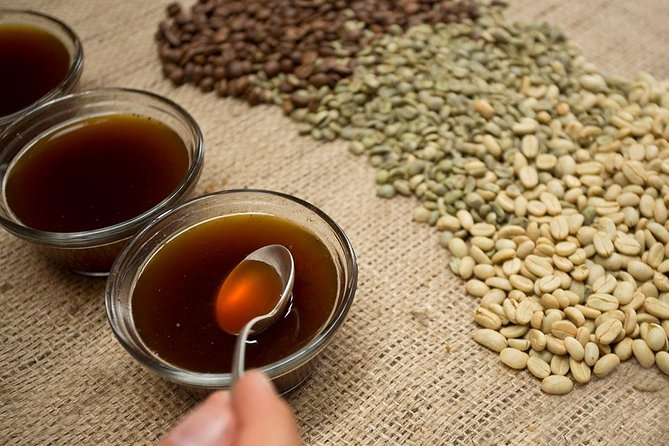 A taste of Aquiares - 2 hours Coffee Tour - Key points to know before you go