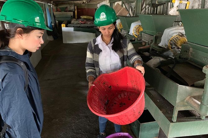 A taste of Aquiares - 2 hours Coffee Tour - The first 15 minutes at Aquiares church