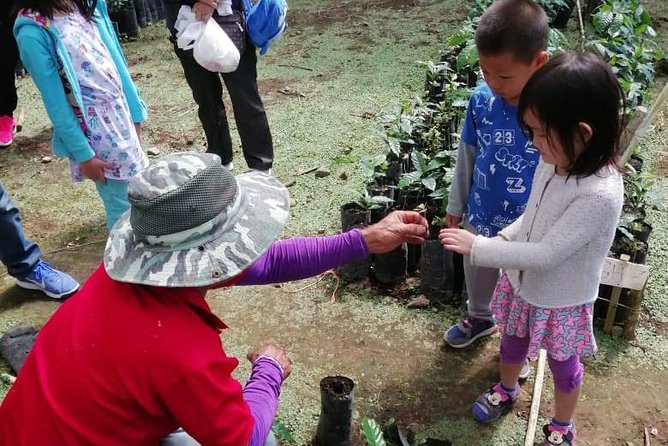 A taste of Aquiares - 2 hours Coffee Tour - One hour inside the beneficio