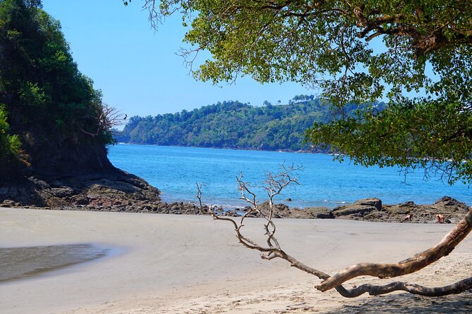 All Inclusive National Park Manuel Antonio with Binoculars - Walking the park paths with Ariel