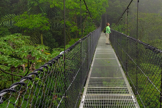 Arenal Best 4 Attractions Full Day Combo Incl. Lunch and Dinner - Arenal Hanging Bridges: the best wildlife stop