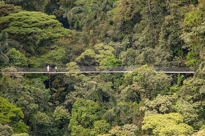 Arenal Best 4 Attractions Full Day Combo Incl. Lunch and Dinner - Is $273.46 a fair price?