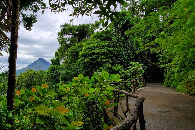 Arenal Full Day Tour - Fitness, children, and the pace of the day