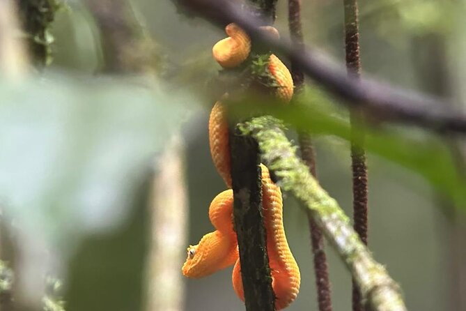 Arenal Full Day Tour - Cancellation and practical details