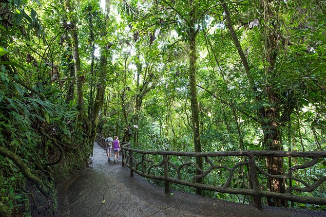 Arenal Hanging Bridges, Guided Walk, Hot Springs Optional - Why the bridges are worth your time in La Fortuna