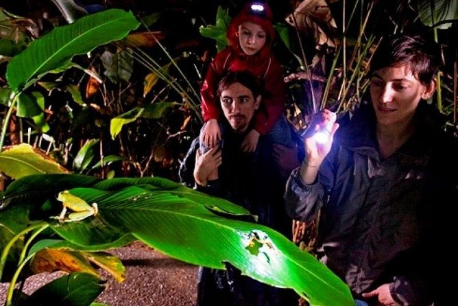 Arenal Oasis Night Walk from Arenal - Why Arenal Oasis works best after sunset