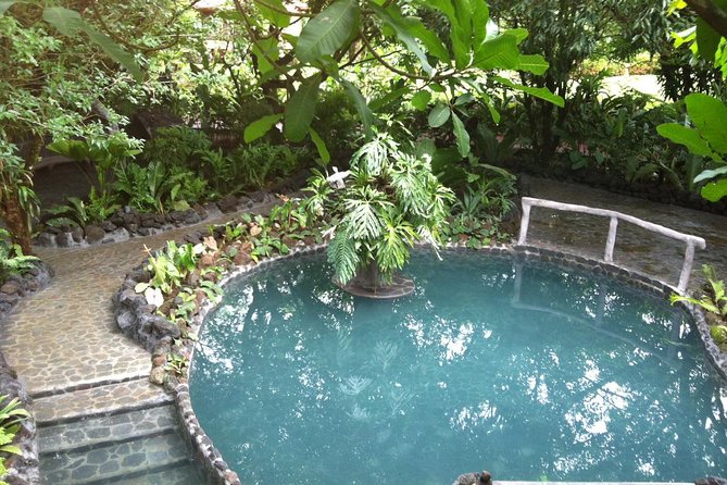 Arenal Volcano Combination Tour: Zipline, Tubing and Hot Springs - Nine zip lines through the forest