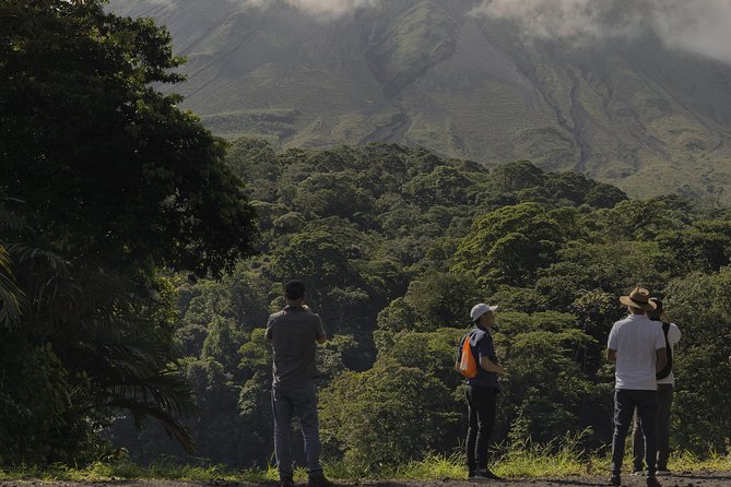 Arenal Volcano Hike Expedition with Optional Hot Springs - Morning or afternoon departure?