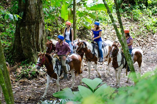 Arenal Volcano River Horseback Riding Tour - The volcano route and the river alternative