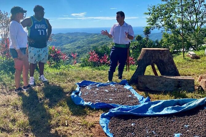 ATV Waterfall & Organic Coffee Farm with Lunch - Fresh coffee, juice, and a lunch with a view
