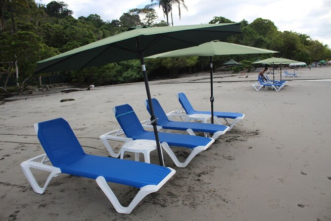 Beach Day Experience in Manuel Antonio - Who will enjoy this most?