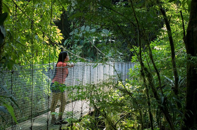 Best of La Fortuna: Hanging Bridges, Waterfall and Arenal Volcano - The value of a guide and included transport