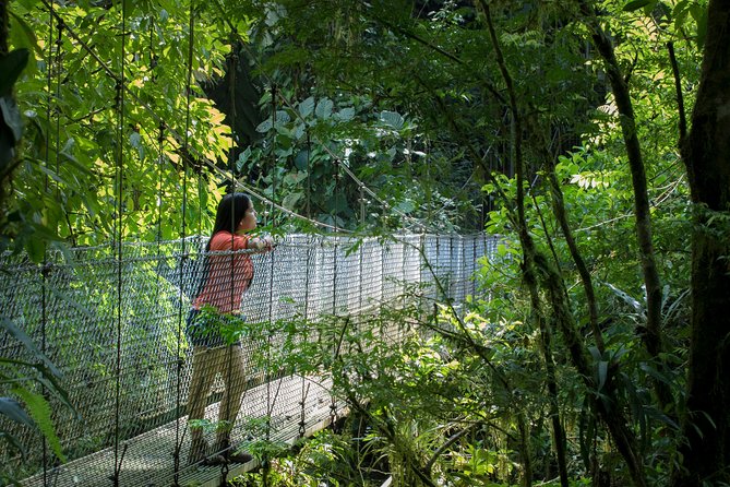 Best of La Fortuna: Hanging Bridges, Waterfall and Arenal Volcano - Who should book this La Fortuna tour?