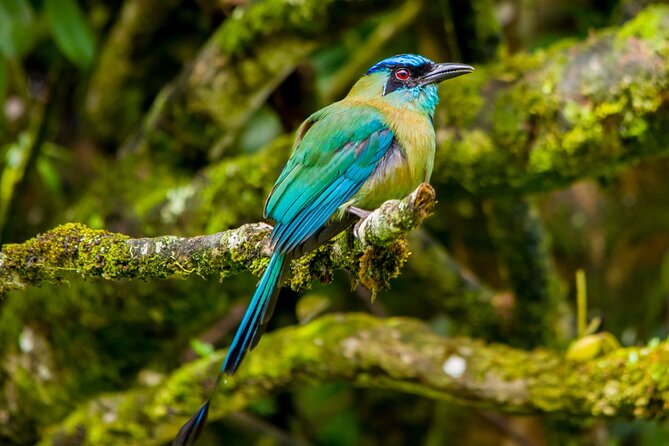 Birdwatching Tour: unlock the wonder, whether beginner or advanced - The guides are the main reason to book