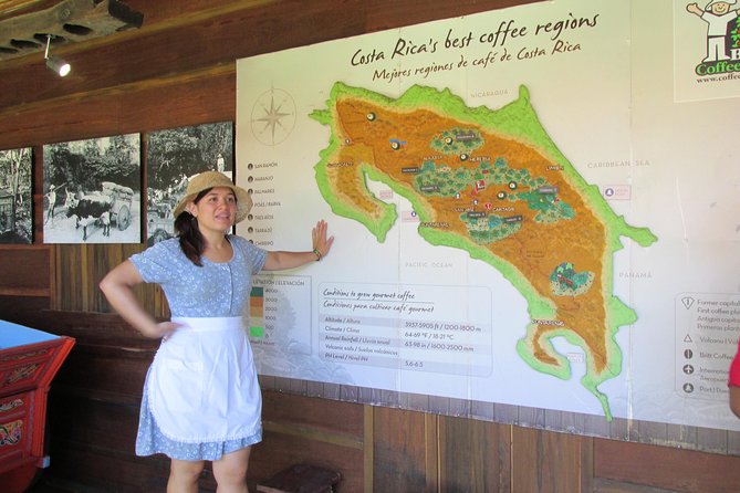 Britt Coffee Tour from San José - From seedling to plantation plant