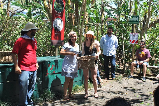 Britt Coffee Tour from San José - Cupping shows what experts actually taste