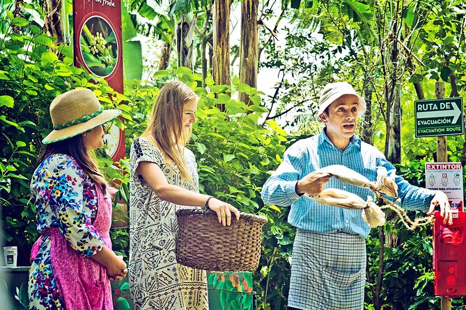 Britt Coffee Tour from San José - A garden setting, shop, and coffee shipment