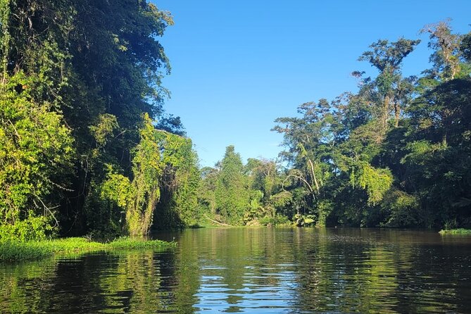 Canoe Boat Tour in Tortuguero Canal - What your guide adds to the outing