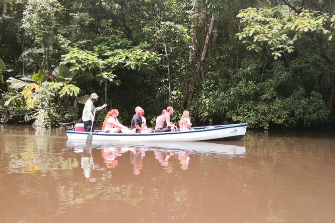 Canoe tour dentro del Parque - Why Tortuguero’s canals suit a canoe tour