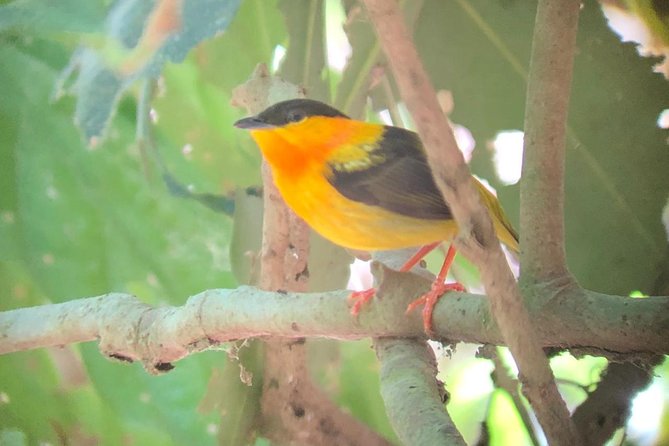 Carara National Park Tour - The habitats you will pass through