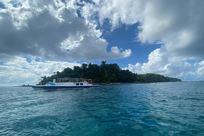 Catamaran Snorkeling at Caño Island from Drake Bay - What you may see beneath the surface