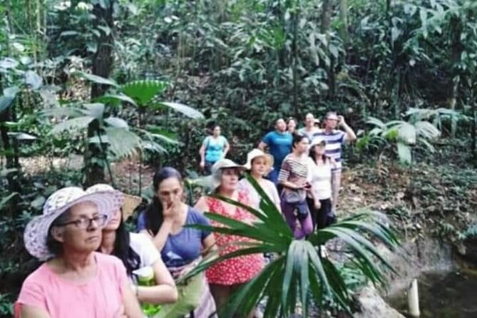 Chocolate and Coffee Tour Farm Don Jorge - Coffee, sugar cane, and a little local spirit