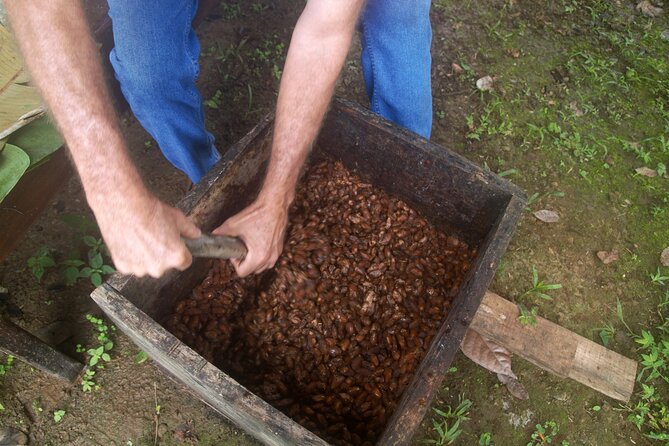 Chocolate and Farm Tour with local Tico family - Why this farm visit feels different from a chocolate tasting