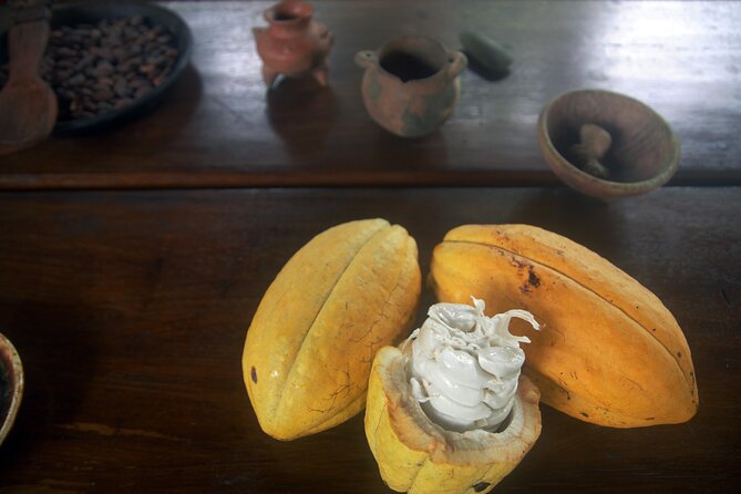 Chocolate and Farm Tour with local Tico family - The cacao drinks: traditional and modern
