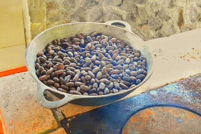 Chocolate and Farm Tour with local Tico family - Is $45 a fair price?