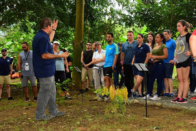Chocolate Experience in Jaco Beach and Los Suenos - What happens during the two-hour visit