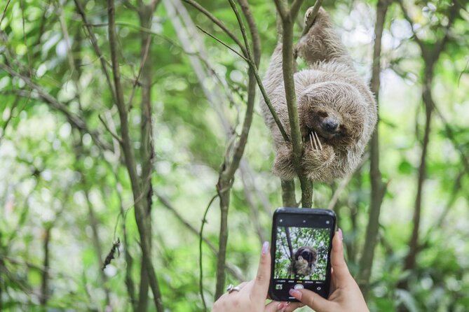 Coffee & Chocolate Tour+Sloths Park & Llanos de Cortez Waterfall - Why this Tamarindo day trip works