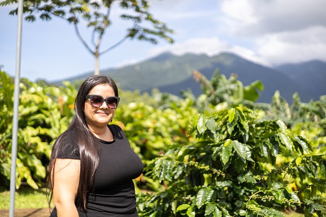 Coffee & Chocolate Tour+Sloths Park & Llanos de Cortez Waterfall - Llanos de Cortez Waterfall and its slippery trail