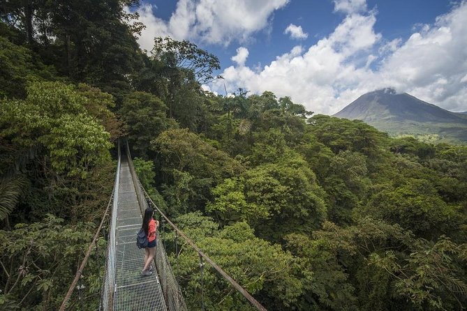Combined Tour (Hanging Bridges, La Fortuna Waterfall, Arenal Volcano) - La Fortuna Waterfall: a second kind of natural spectacle