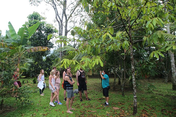 Costa Rica Descents Organic Farm - A one-hour look at La Fortuna food production