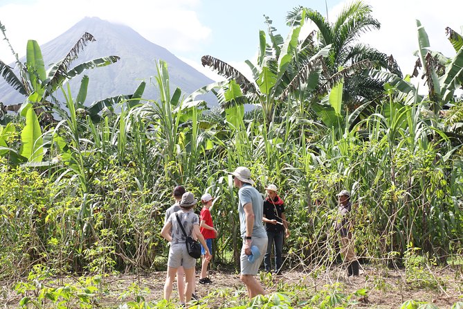 Costa Rica Descents Organic Farm - The guide can shape the whole visit