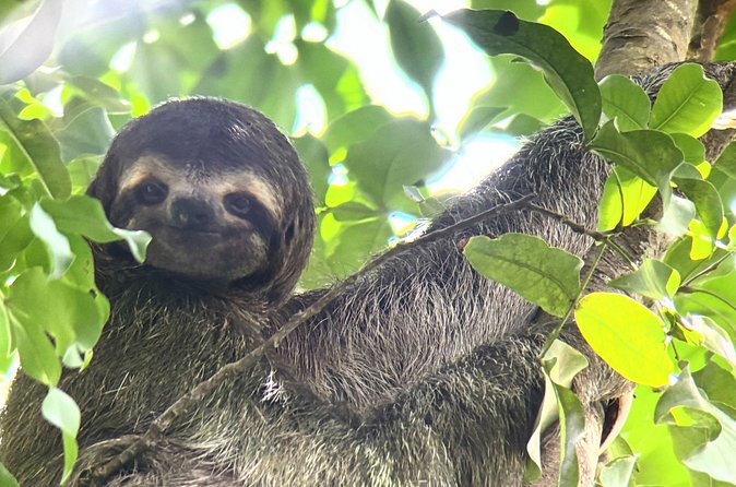 Customized Nature Walk in Manuel Antonio National Park - Timing, group size, and practical details
