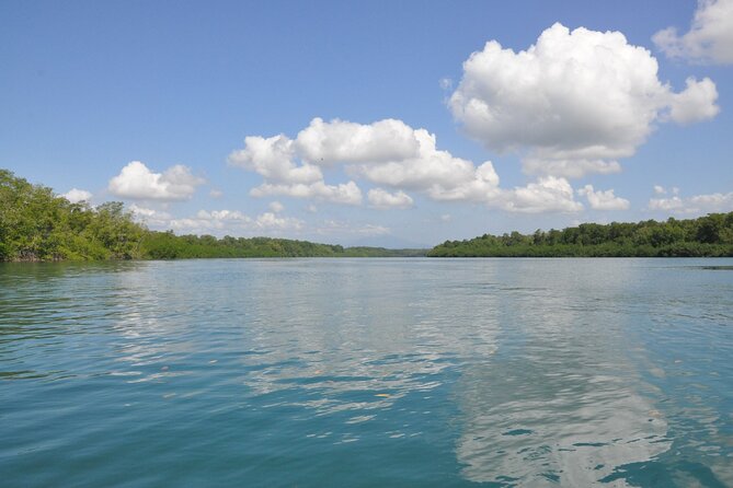 Damas Island Mangrove Boat Tour with Wildlife from Manuel Antonio - The boat ride and boarding details