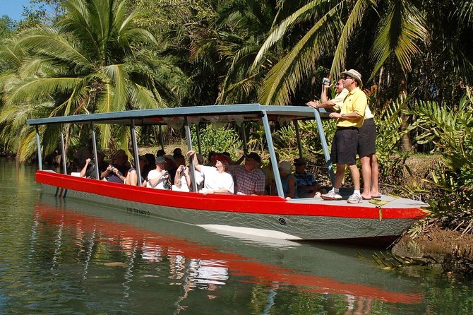 Damas Island Mangrove Boat Tour with Wildlife from Manuel Antonio - Why the mangrove setting matters