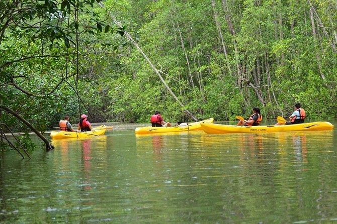 Damas Island Mangrove Kayaking Tour from Manuel Antonio - Paddling Into Damas Island’s Mangrove Channels