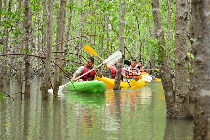 Damas Island Mangrove Kayaking Tour from Manuel Antonio - What Happens at the Tucanes Tours Center