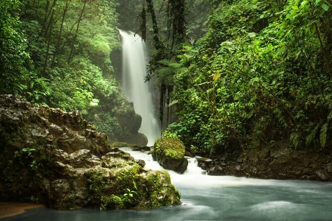 Day Tour: Doka Estate, Poás Volcano and La Paz Waterfalls - The guide can shape the whole day