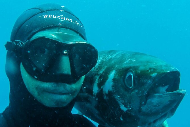 Discover Spearfishing course - What the catch can look like